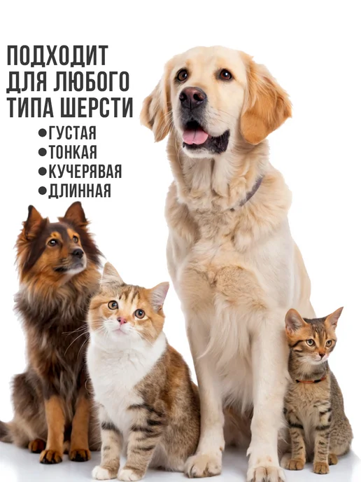 Машинка для стрижки собак и кошек, черный, фото 6