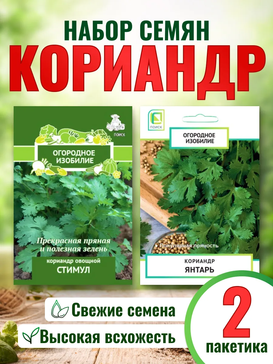 Семена кориандр набор для посадки в открытый грунт 2шт