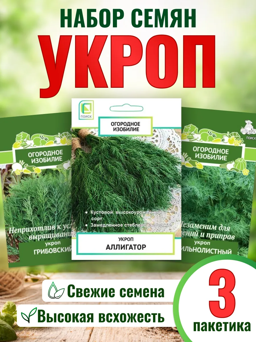 Семена укропа для огорода и для подоконника