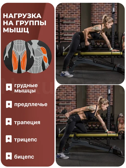 Nexus Sport Неразборные гантели 12,5 кг×2 для тренировок и спорта, 12,5 кг, фото 6