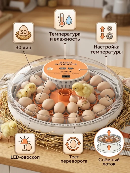 Инкубатор для яиц автоматический с терморегулятором, красный, фото 3
