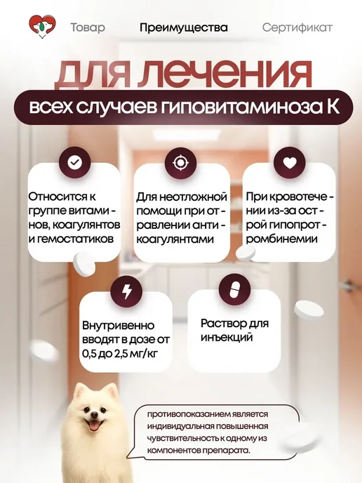 ФармБаланс Сангвения витамин К1, раствор для инъекций для кошек и собак, 100 мл, фото 2
