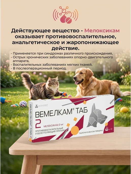 Nita-Farm Вемелкам Солютаб 2 мг 10 таблеток, вариант, фото 2