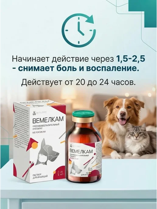 Nita-Farm Вемелкам 20 мл, раствор для инъекций, противовоспалительный, 20 мл, фото 2