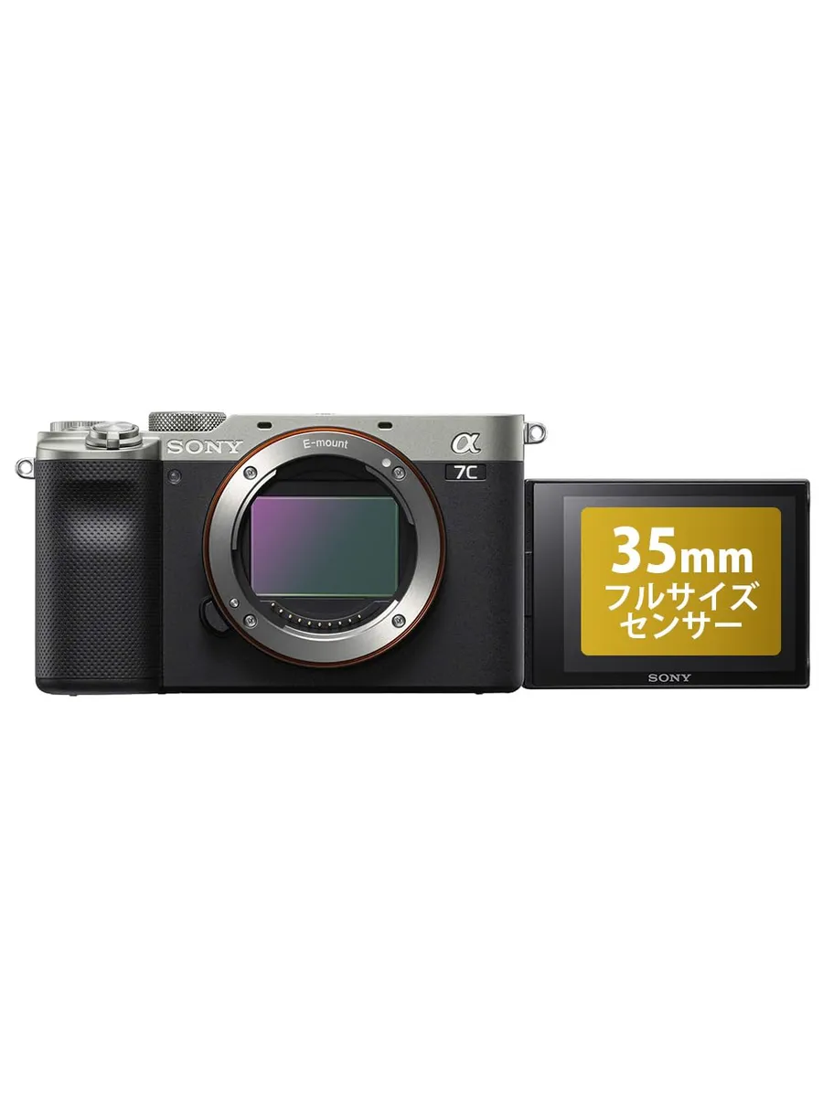 SONY Фотокамера Alpha 7C, корпус, серебристая