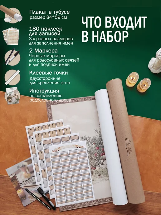 FAMILY ALBUM Генеалогическое древо семьи. Плакат с наклейками, бежевый, фото 2