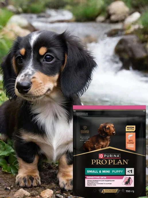 Сухой корм PRO PLAN Карликовых Skin для собак, мелкие, чувствительное пищеварение, щенки, лосось, 0,7 кг, фото 3