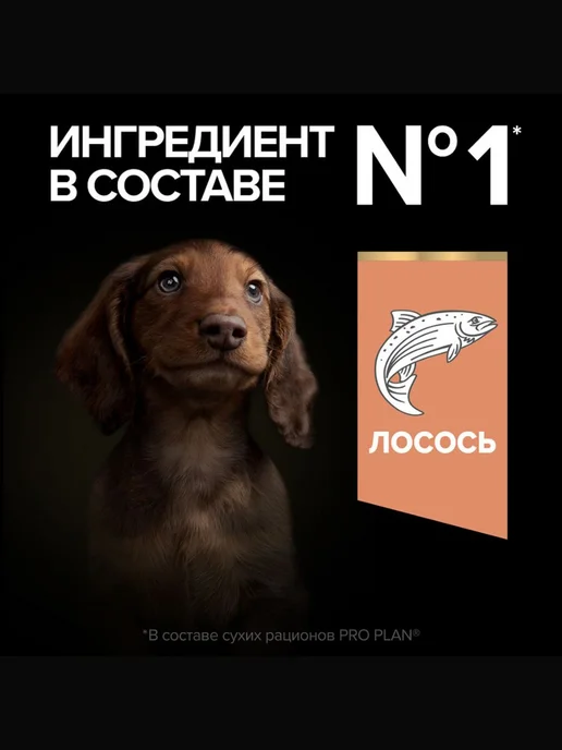 Сухой корм PRO PLAN Карликовых Skin для собак, мелкие, чувствительное пищеварение, щенки, лосось, 0,7 кг, фото 5