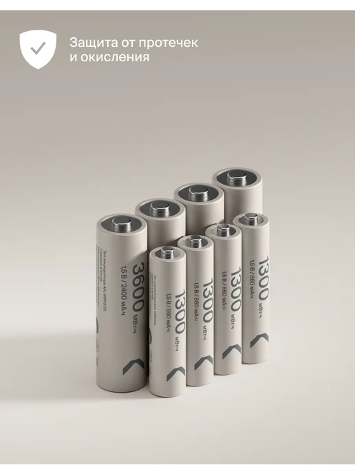 Commo Зарядка Recharge с комплектом Li-Ion аккум. АА и ААА, вариант, фото 4