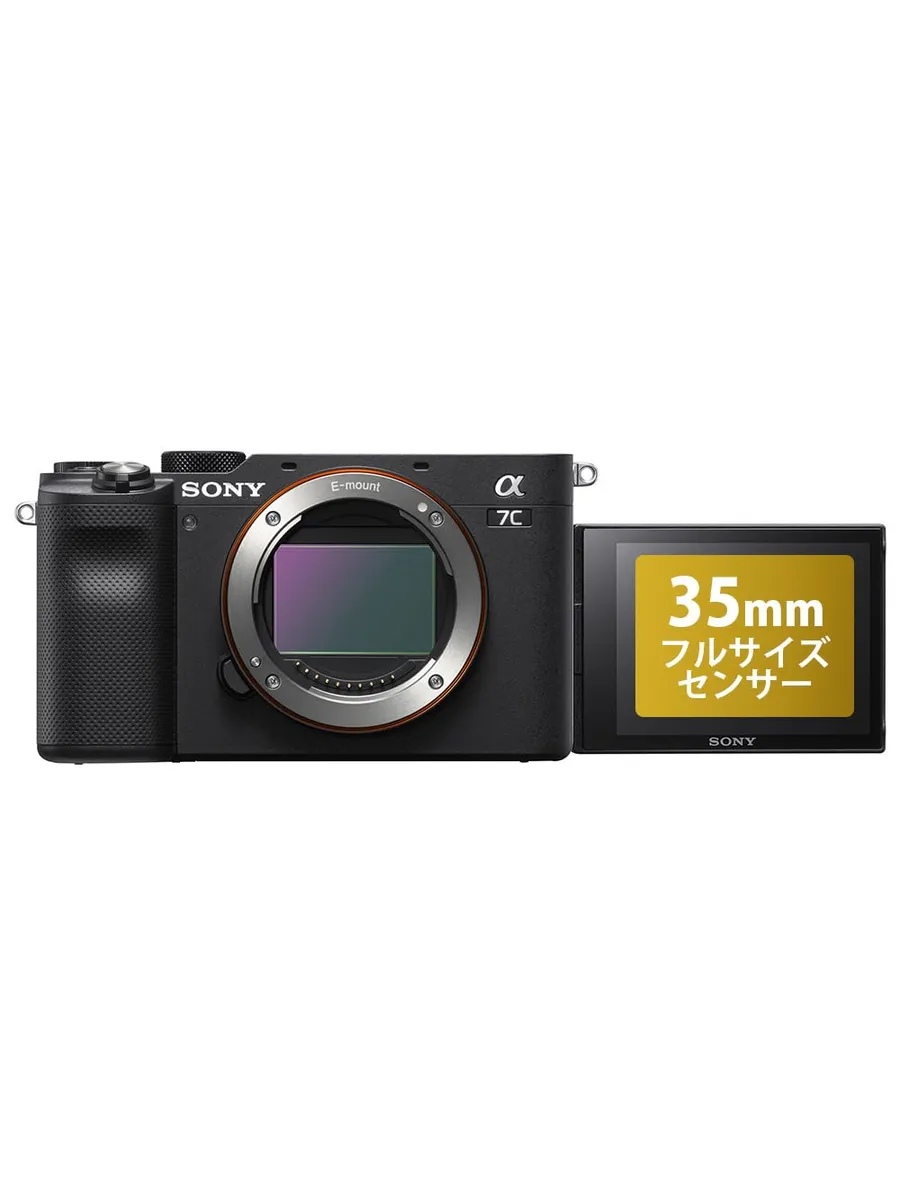 SONY Фотокамера Alpha 7C, без объектива