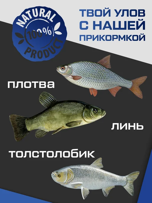 F-FISHING Прикормка для рыбы PRO Холодная вода Универсальная 1кг, 1 кг, фото 2