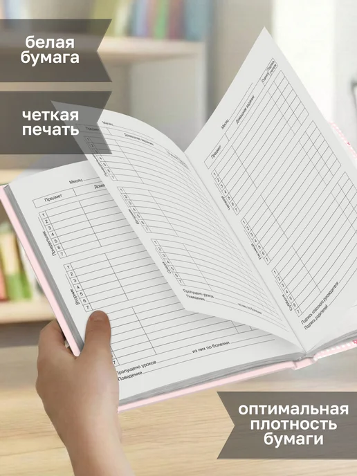 BG Дневник школьный 1-4 класс, вариант, фото 3