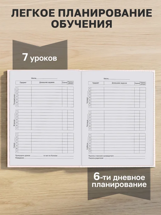 BG Дневник школьный 1-4 класс, вариант, фото 4
