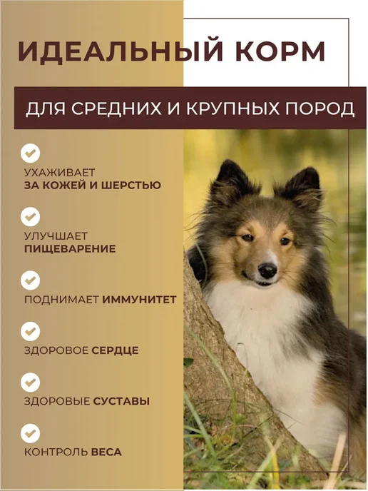 Сухой корм STARDOG для собак, 1,2 кг, фото 4