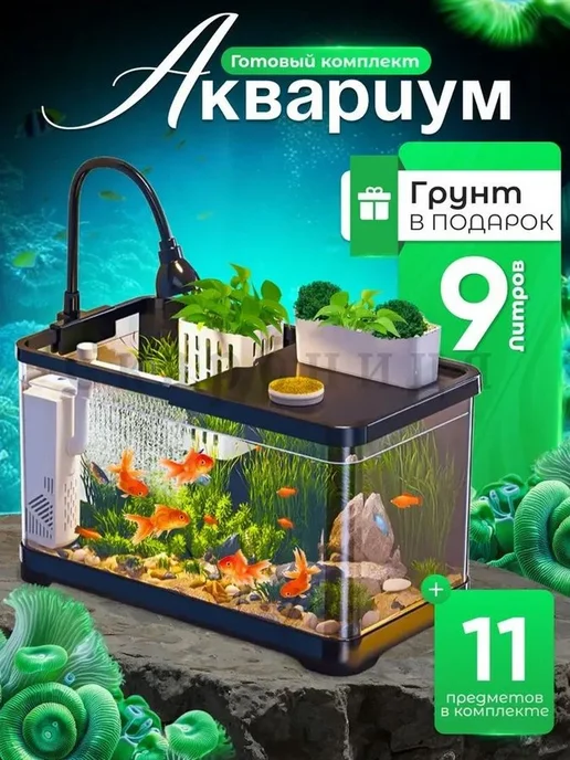 Аквариум S, вариант