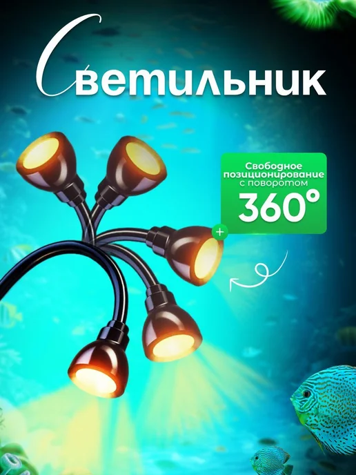 Аквариум S, вариант, фото 3