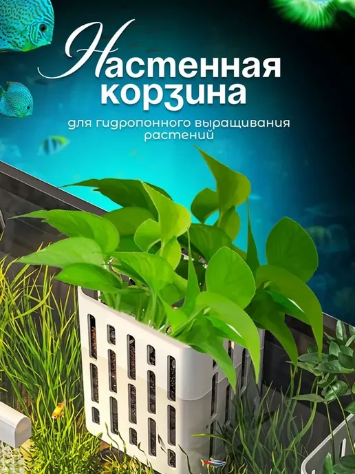Аквариум S, вариант, фото 5