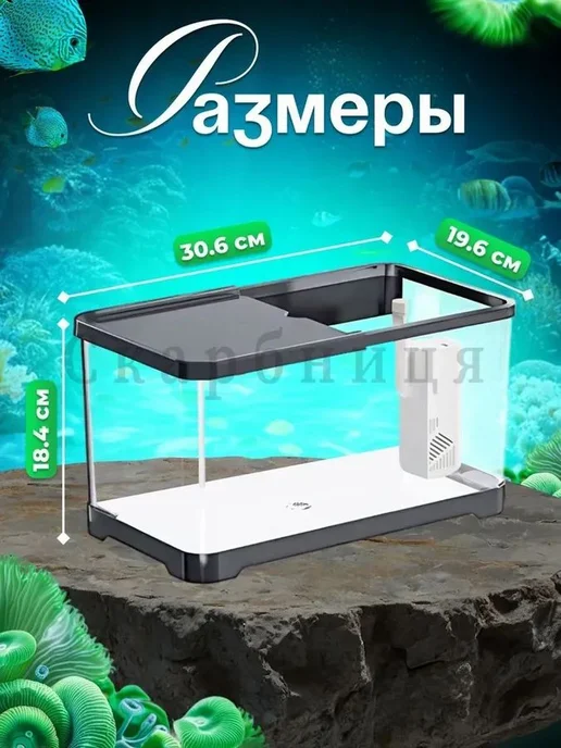 Аквариум S, вариант, фото 7