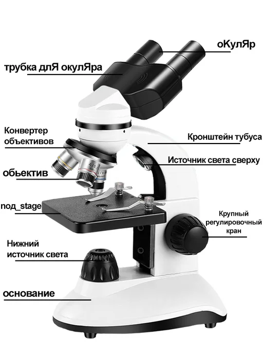 Микроскоп бинокулярный школьный-студенческий 2000х, вариант, фото 4