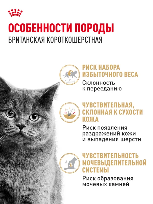 Royal canin Влажный корм для кошек британских в соусе 10 шт по 85 г, 10 шт, 85 г, фото 2