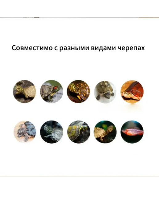 аквариум для, 30*20*18 см, 40x20, фото 4