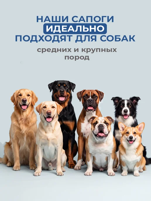 Zoowell Обувь для собак крупных и средних пород летняя непромокаемая, черный, фото 6