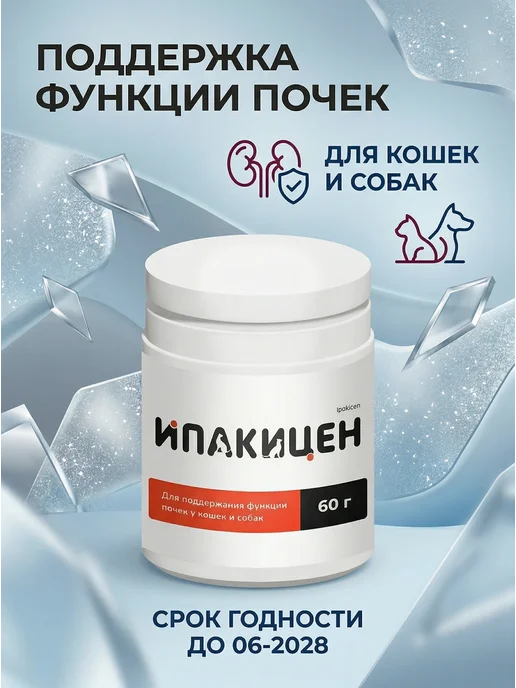 Ипакицен порошок для собак и кошек 60 г, 60 г