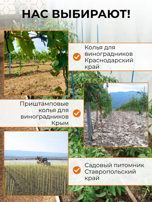 АРМОПЛАСТ Колышки садовые 10 мм, длина 1,5 м 15 шт, 2 м, 15 шт, фото 2