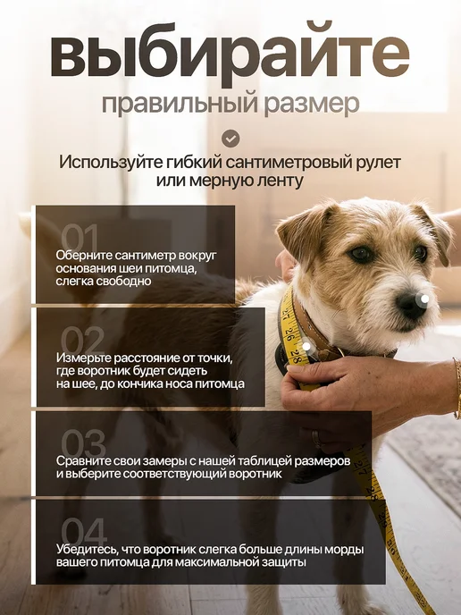 Защитный воротник ветеринарный собак, высота 15, черный, фото 4