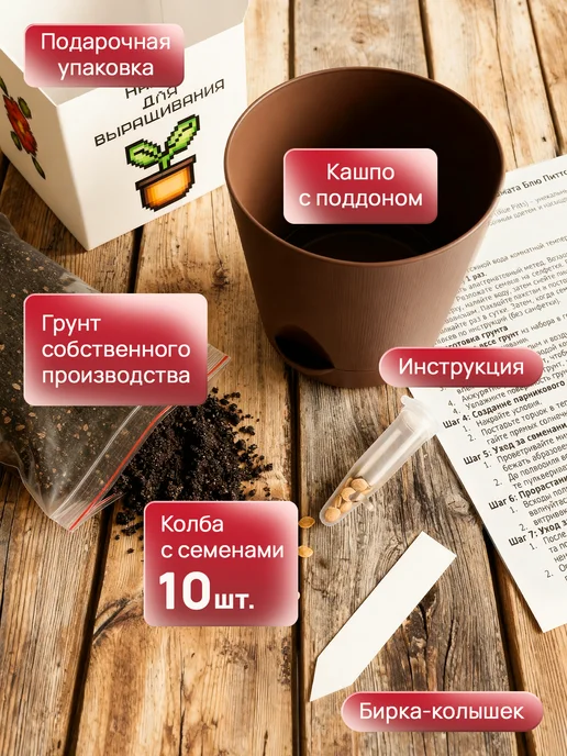 Про Растения Подарочный набор для выращивания растений Томат Блю Питтс, вариант, фото 2