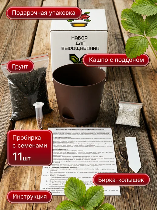 Про Растения Набор для выращивания растений Клубника гигант, вариант, фото 2