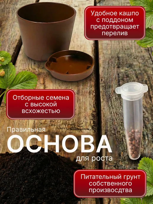 Про Растения Набор для выращивания растений Клубника гигант, вариант, фото 3