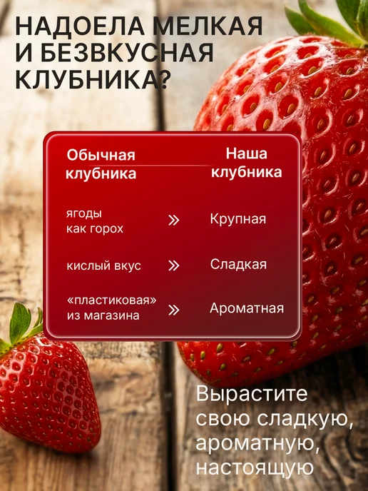 Про Растения Набор для выращивания растений Клубника гигант, вариант, фото 4