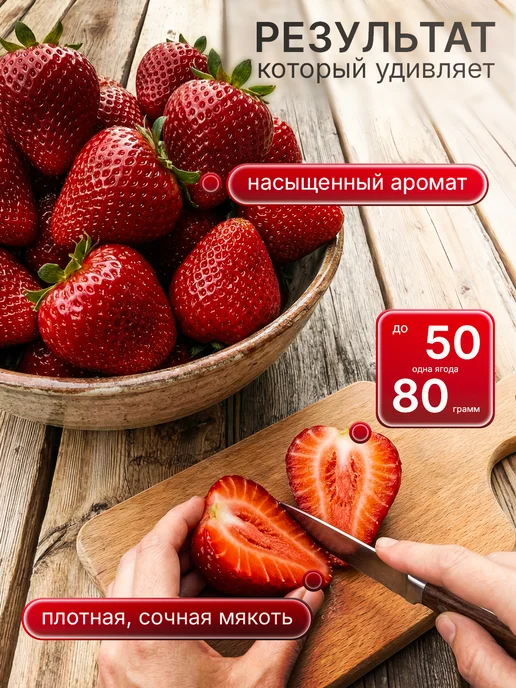 Про Растения Набор для выращивания растений Клубника гигант, вариант, фото 5