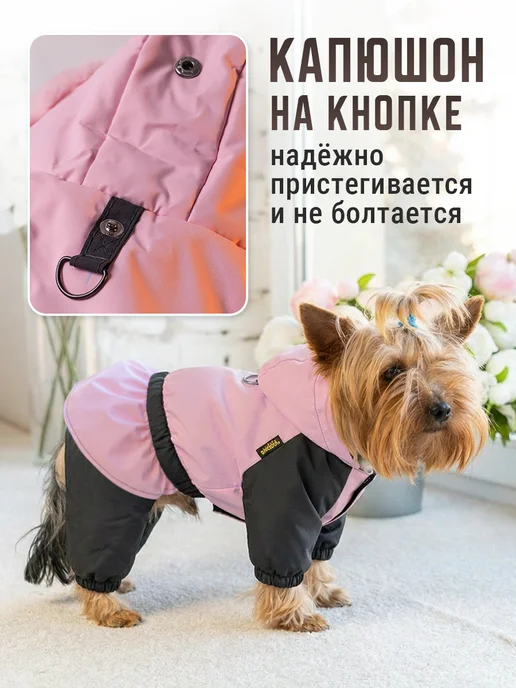Дождевик комбинезон для мелких собак, серый, фото 2