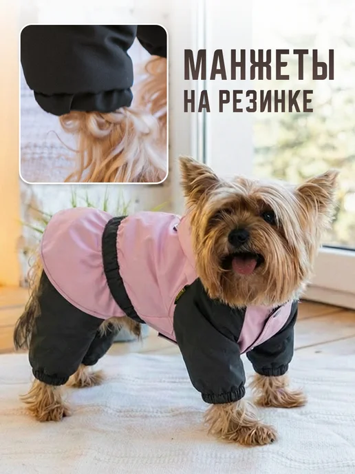 Дождевик комбинезон для мелких собак, серый, фото 4