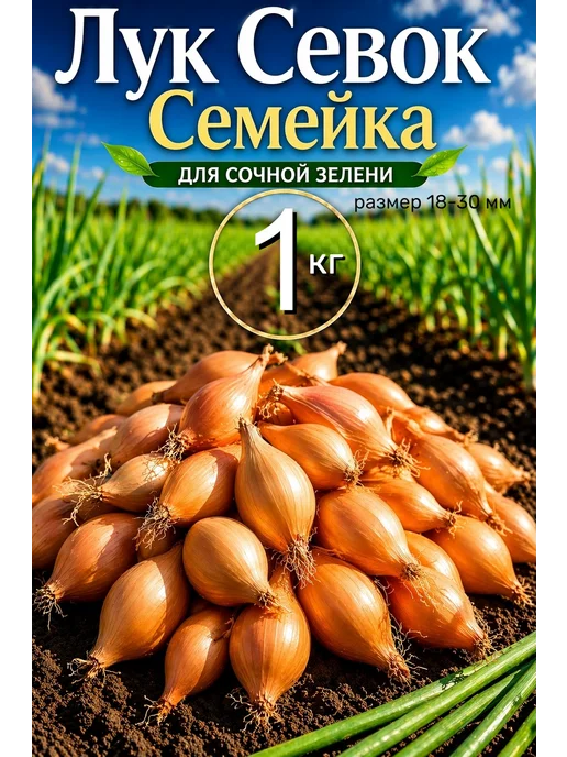Лук севок Семейка 1 кг на сочную зелень на посадку, 1 кг