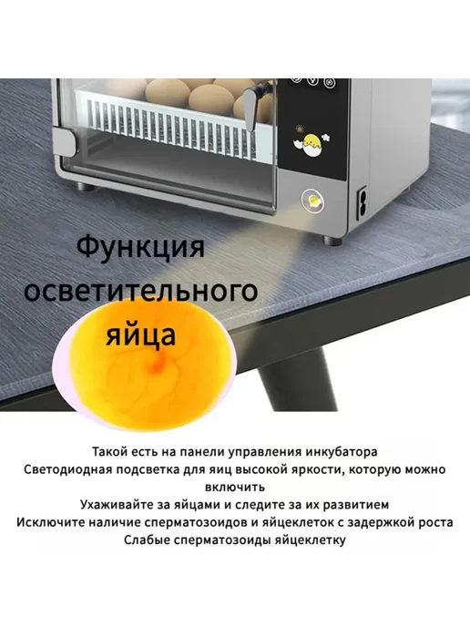 Автоматический инкубатор для яиц регулятором температуры, вариант, фото 5