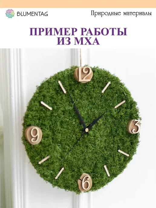 Blumentag Мох стабилизированный окрашенный 50 г ± 5 г, вариант, фото 2