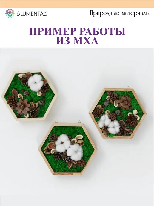 Blumentag Мох стабилизированный окрашенный 50 г ± 5 г, вариант, фото 3