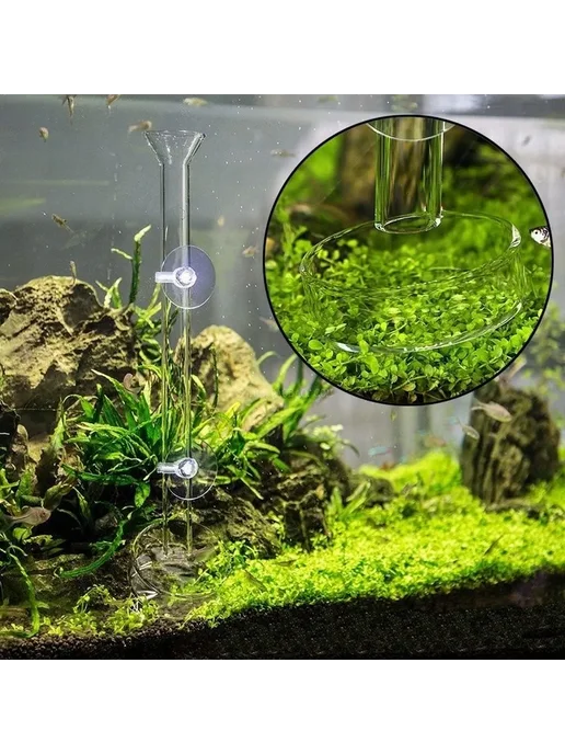 Стеклянная кормушка для креветок 45 см 45cm, для креветок 45 45cm, фото 4