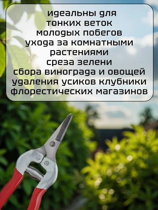 Садовой инструмент для дачи и дома Ножницы для цветов флористические Секатор садовый ручной, серый, фото 4