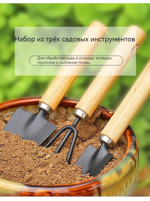 Набор из трех садовых лопаток для выращивания цветов в помещ, вариант