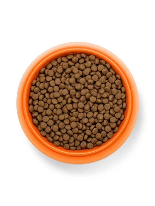 Сухой корм Smart Dog для собак, индейка, 0,8 кг, фото 8