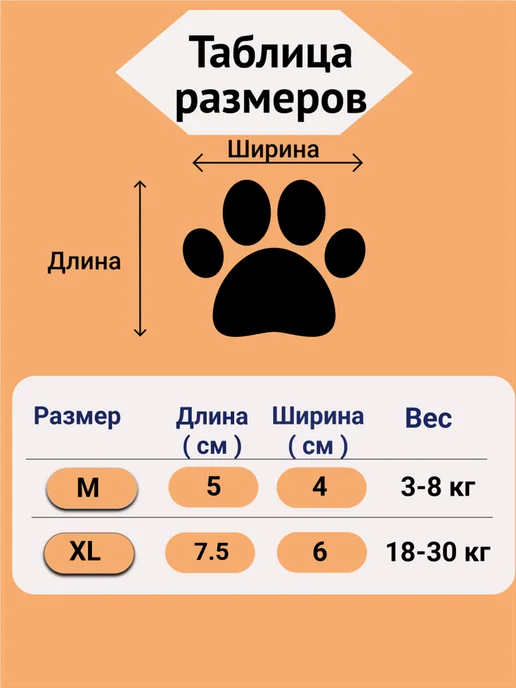 Рыжуля Высокие ботинки для мелких и средних собак непромокаемые, черный, фото 3