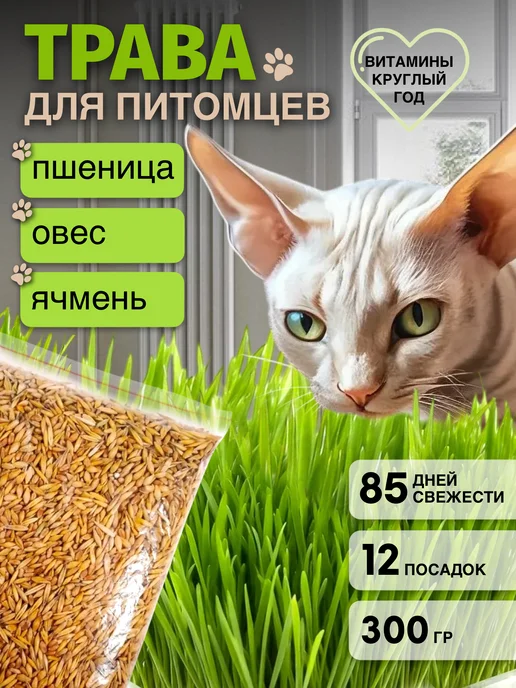 Кристальный КОТ Трава для кошек. Для грызунов. Для проращивания, вариант