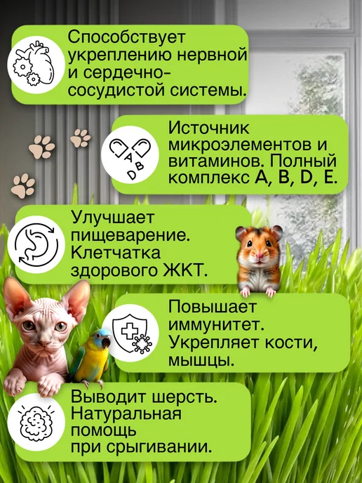 Кристальный КОТ Трава для кошек. Для грызунов. Для проращивания, вариант, фото 2