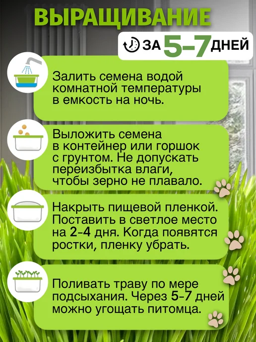 Кристальный КОТ Трава для кошек. Для грызунов. Для проращивания, вариант, фото 4