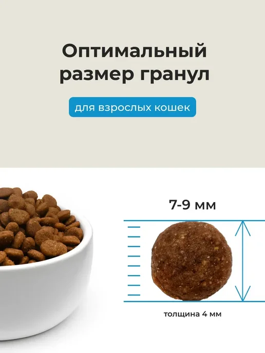 Сухой корм ALMO NATURE Кошек Морской для собак, взрослые, рыба, 2 кг, фото 3