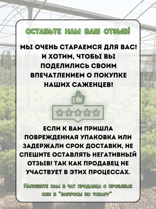 САД ГАРАНТ Ирис 5 шт луковицы Микс набор-3, 5 шт, фото 2